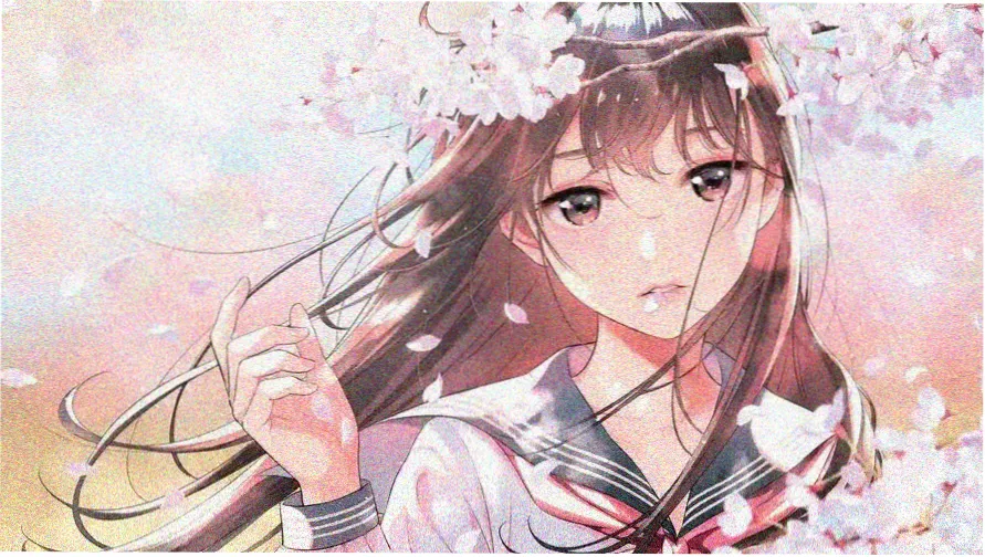 锐星影视 星云影展